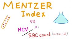mentzer index