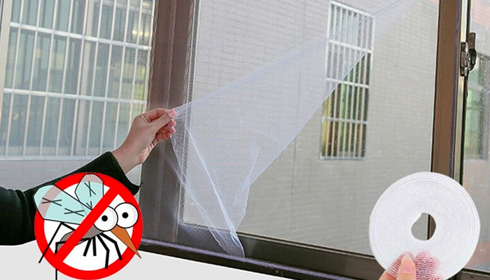 Lắp màn chống côn trùng các cửa sổ, cửa ra vào