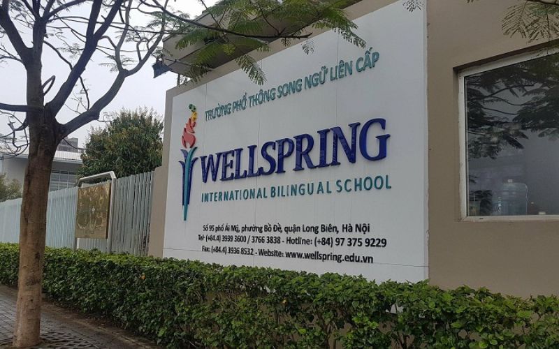 Trường Wellspring
