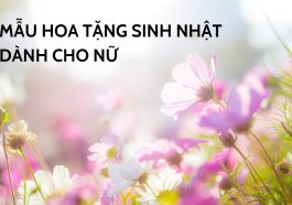 hoa sinh nhật cho nữ