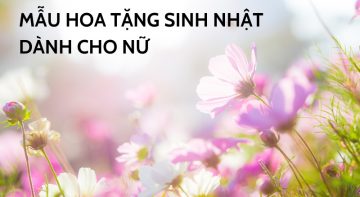 hoa sinh nhật cho nữ