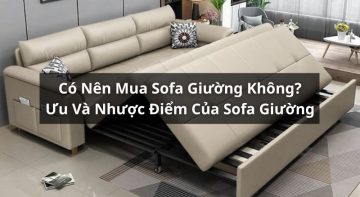 có nên mua sofa giường không