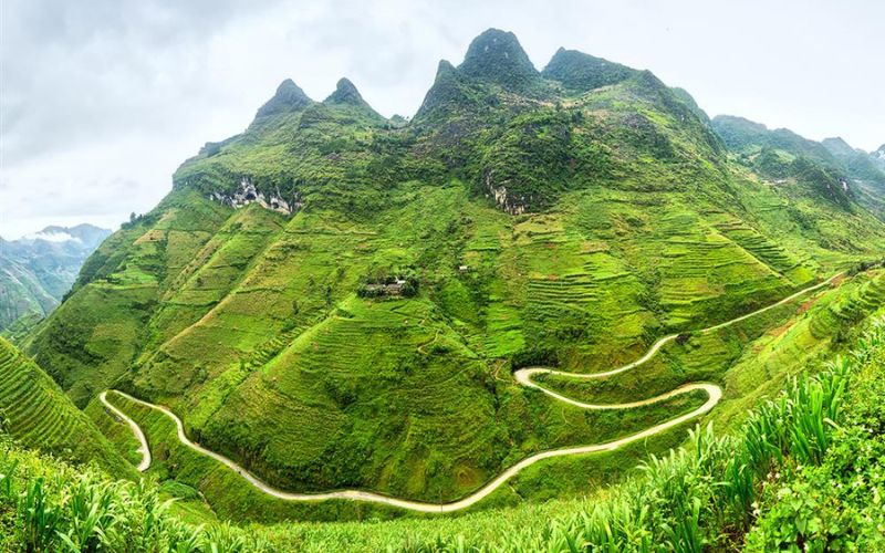 Giới thiệu về Mèo Vạc Hà Giang