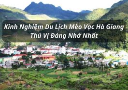 kinh nghiệm du lịch mèo vạc hà giang