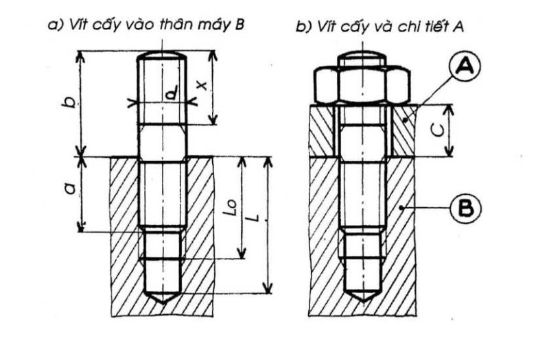 các loại vít cấy