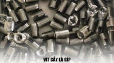 vít cấy là gì